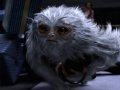 demiguise_fantasticbeasts.jpg